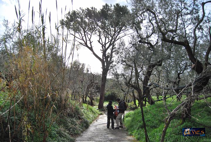 tremenda discesa di via rivolo.JPG